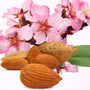 Almond Body Cream Recipe