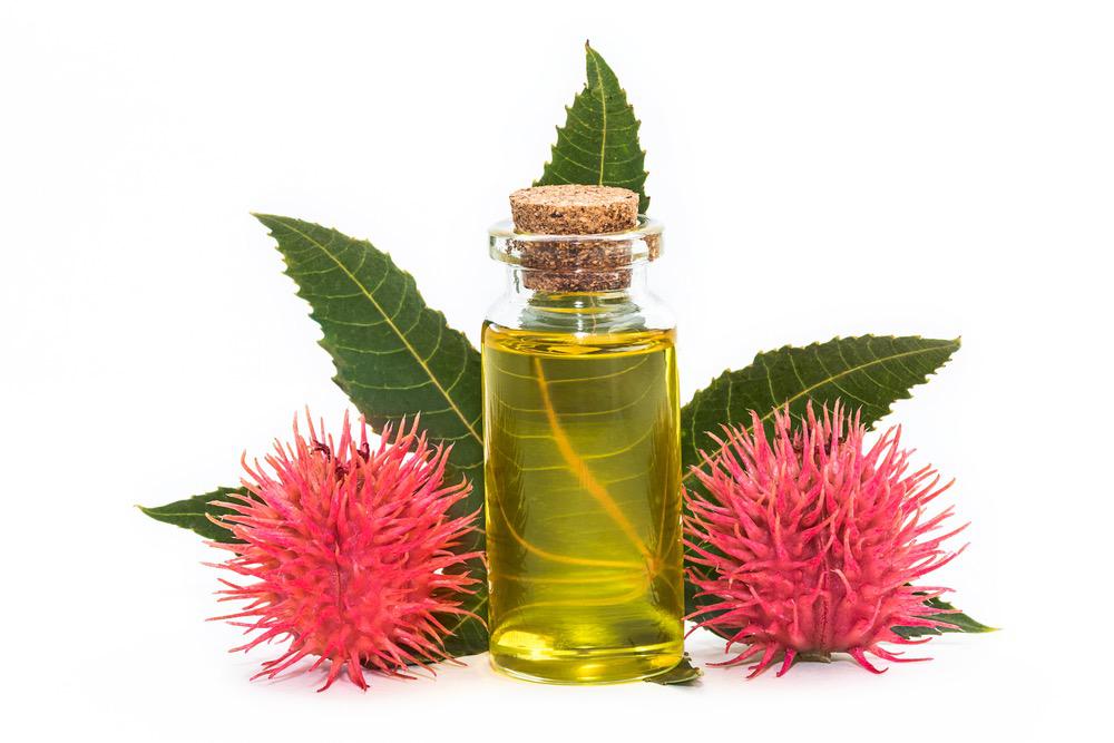 Castor Oil Benefits  Nature's Garden