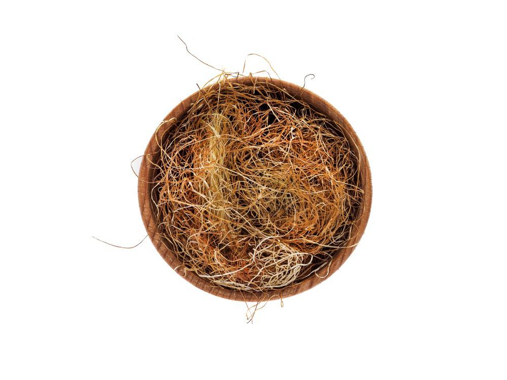 What are the Benefits of Cornsilk?