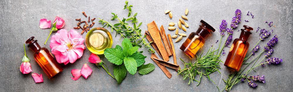 vanilla tobacco breeze discontinued Discontinued Fragrance Oil Information – Nature's Garden