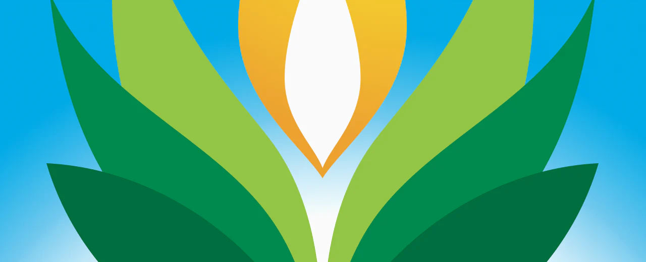 Liquid, Powder, or Block Colorants? Choosing the Best Soap Colorants for Your Projects