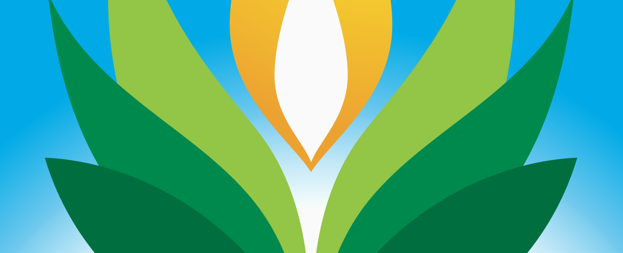 Candle Making- Soy Candles