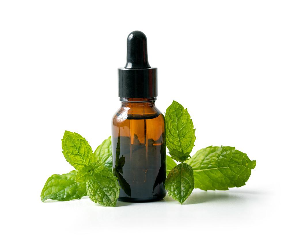 Spearmint Leaf Benefits
