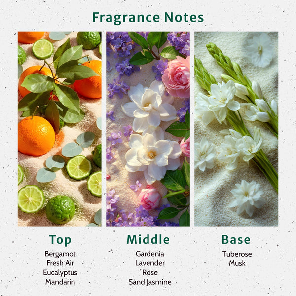 Beach Bum Fragrance Oil