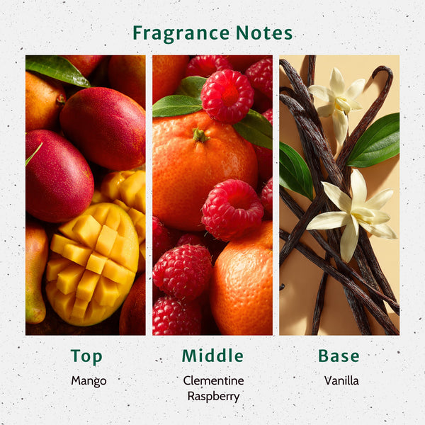 Mango Tangerine Fragrance Oil lifestyle product image - Zoom Media 2