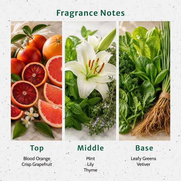 Blood Orange Fragrance Oil - Zoom Media 2