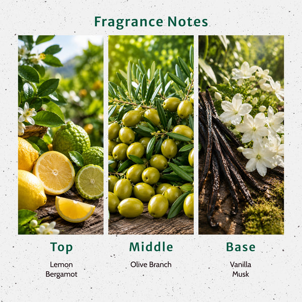 OMG Olive Fragrance Oil - Zoom Media 2