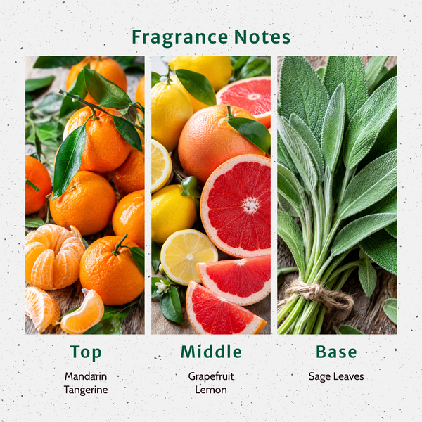 Sage and Citrus Fragrance Oil - Zoom Media 2