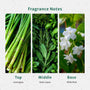 Lemongrass Fragrance Oil