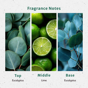 Eucalyptus Fragrance Oil lifestyle product image - Secondary Image
