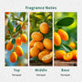 Kumquat Fragrance Oil lifestyle product image
