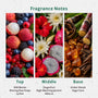 Temptations in the Tropics Fragrance Oil - Zoom Thumbnail Media 2