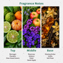 Evening Fireflies Fragrance Oil - Zoom Thumbnail Media 2