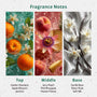 Zest for Life Fragrance Oil