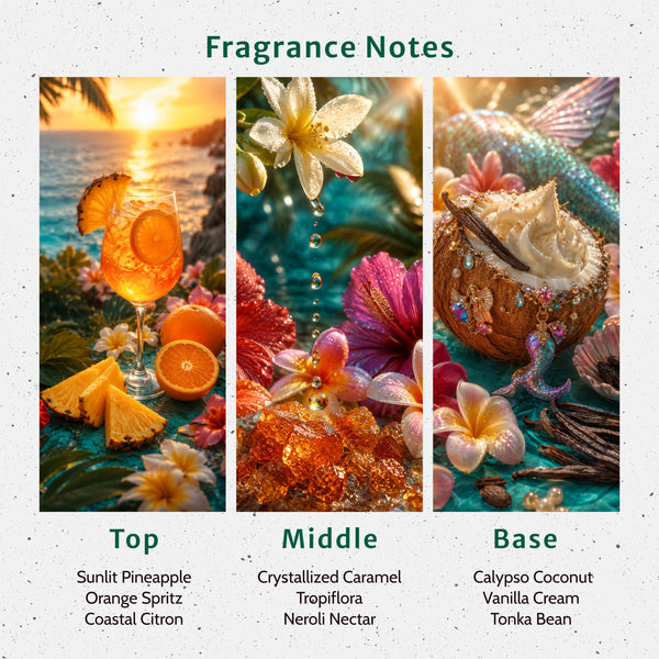 Calypso Coconut Fragrance Oil - Zoom Media 2