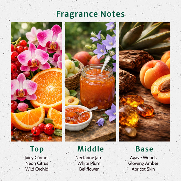 Neon Nights Fragrance Oil