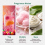Pop Princess Fragrance Oil