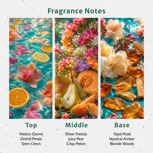 Siren Song Fragrance Oil - Secondary Image