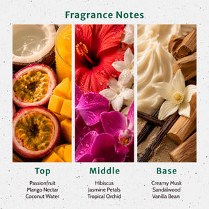 Barefoot Oasis Fragrance Oil - Secondary Image