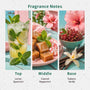 Santa's Tiki Bar Fragrance Oil - Zoom Thumbnail Media 2
