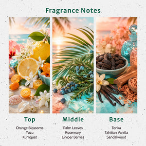 Deck the Palms Fragrance Oil - Secondary Image