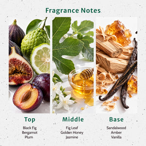 Get Figgy With It Fragrance Oil - Secondary Image