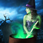 Witches Brew Fragrance Oil