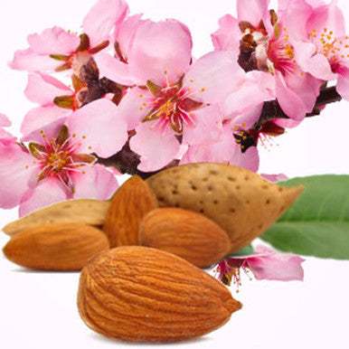 Almond Fragrance Oil