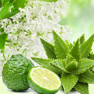NG Aloe & White Lilac Fragrance Oil