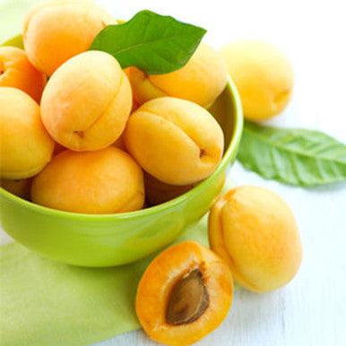 Apricot Fragrance Oil