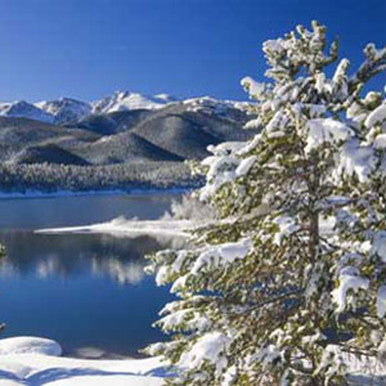 Aspen Winter Type Fragrance Oil