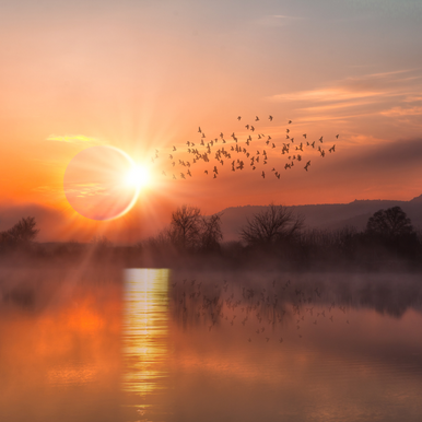 Autumn Eclipse Fragrance Oil