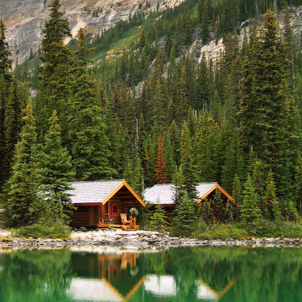 Balsam and Cedar Fragrance Oil