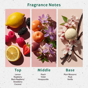 Black Raspberry & Vanilla Fragrance Oil fragrance oil bottle - Secondary Image