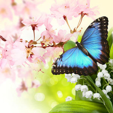 Butterfly Hugs Fragrance Oil fragrance oil bottle - Zoom Media 1