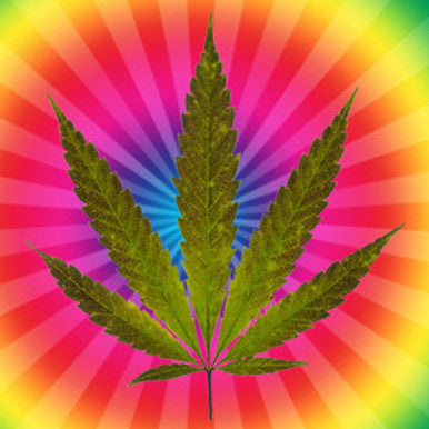 Cannabis Flower Fragrance Oil