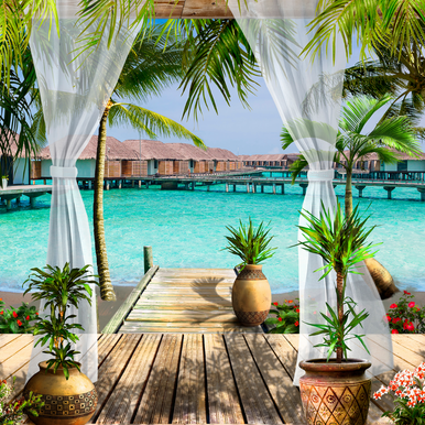 Coastal Paradise Fragrance Oil