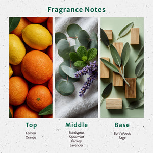 Eucalyptus & Spearmint Fragrance Oil fragrance oil bottle - Secondary Image