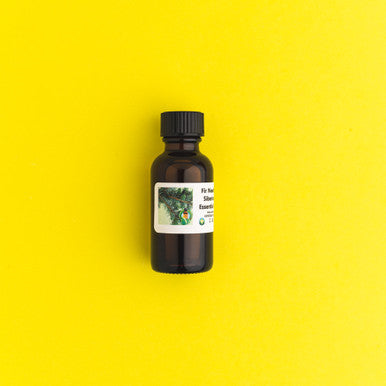 Fir Needle Siberian Essential Oil - 100% Pure