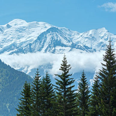 Frosted Peak Tops Fragrance Oil