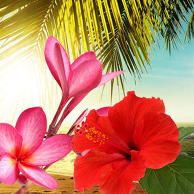Hawaiian Sea Mist Fragrance Oil