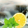 Ice Capade Fragrance Oil fragrance oil bottle - Zoom Thumbnail Media 1