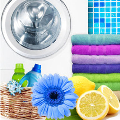 Laundromat Fragrance Oil