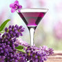 Lavender Martini Fragrance Oil