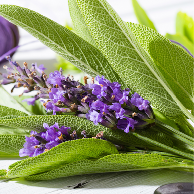 Lavender Sage Fragrance Oil