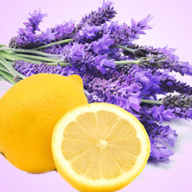 lemon lavender plant Lemon Lavender Type Fragrance Oil