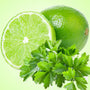 Lime Cilantro Fragrance Oil fragrance oil bottle - Zoom Thumbnail Media 1