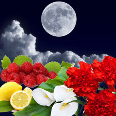 Lunar Eclipse Fragrance Oil