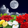 Lunar Eclipse Fragrance Oil