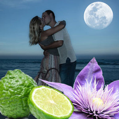 Midnight Romance Fragrance Oil fragrance oil bottle - Zoom Media 1